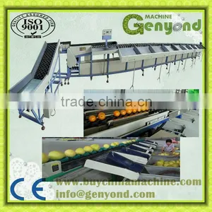 Straight Automatically Conveying Apple Grading Machine thumbnail-1