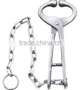 Bull Lead With Chain thumbnail-1