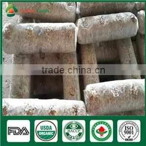 Hotsale Organic Fresh Dry Fungus Vegetable Mushrooms Growing Seed Bag thumbnail-5