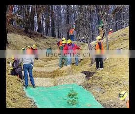 PP Erosion Control Net /Slope Protection Net Manufacture thumbnail-1
