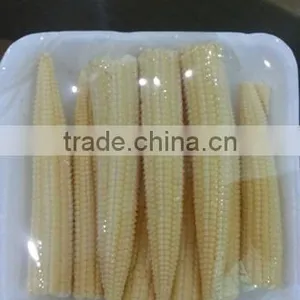 Organic Fresh Baby Sweet Corn thumbnail-3
