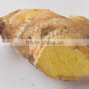 BEST PRICE VIETNAM FRESH GINGER thumbnail-1