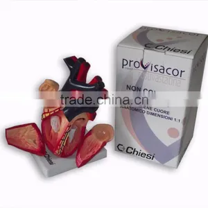 Anathomic Heart thumbnail-1