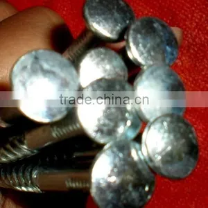 Ethiopia Market Good Quanlity Galvanized Twisted Nails thumbnail-6