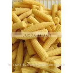 Fresh Baby Corn/baby Corn Exporters/farm Fresh Baby Corn thumbnail-6