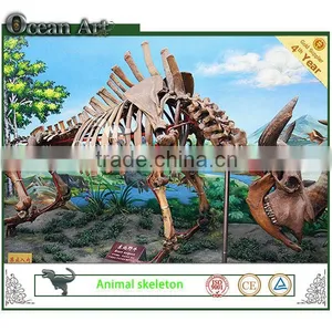 Zigong Life Size Fiberglass Animal Skeleton thumbnail-1