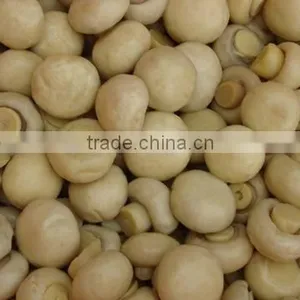 Canned Food Canned Champignon Canned Mushroom/champignon thumbnail-5