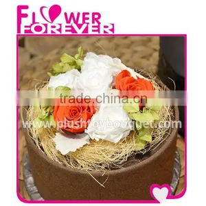 Perfect Wedding Gift Preserved Orchid Flowers thumbnail-3