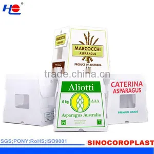 PP Vegetables Crates thumbnail-6