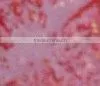 Red Chilli Paste thumbnail-1