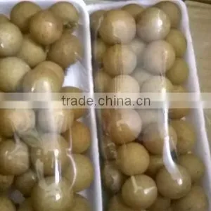 Longan Fruit- High Quality Competitive Price From Vietnam thumbnail-1