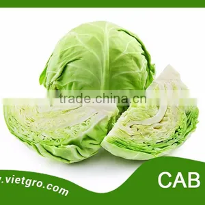High Yield F1 Hybrid Chinese Cabbage Seed - Cab 01 thumbnail-1