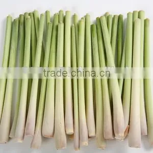 Frozen Lemongrass Whole thumbnail-1