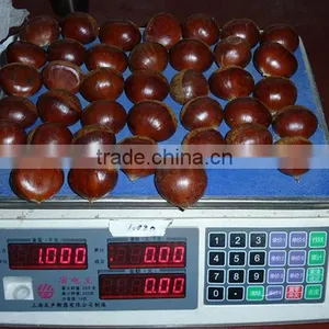 2015 New Corp Hot Sale 30-40/40-60/90-110 Sweet Organic Fresh Chestnuts thumbnail-3