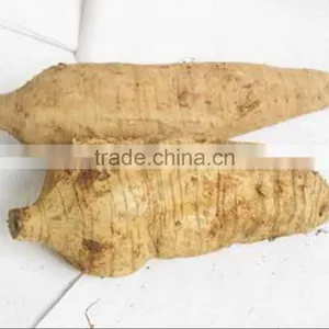 High Purity Puerarin 98% thumbnail-2