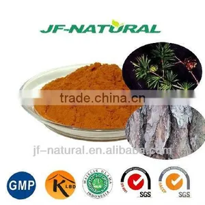 100% Natural Pine Bark Extract Proanthocyanidins 95% thumbnail-2