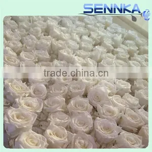 Preserved Flower Rose Display in Gift Box Elegant Flora Decorations for Love thumbnail-5