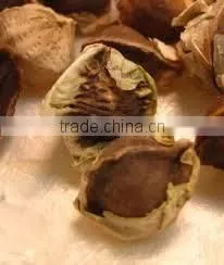 BUY Natural & Pure Moringa Oil / Moringa Seed Oil thumbnail-2