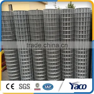 Hign Quality Galvanized Welded Wire Mesh thumbnail-3