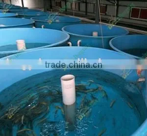 Fish Tank Fiberglass thumbnail-1