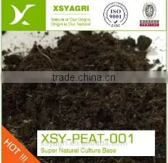 Professional Substrate Peat Moss For Nursery thumbnail-1
