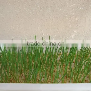 Hydroponic Seeds Germinate Machine/green Fodder Making Barley Breeding Room/hydroponic Bud Seedling Machine thumbnail-3