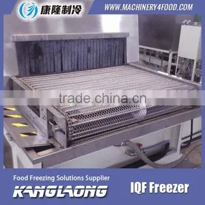 Large Output Frozen Shrimp And Seafood Freezer With Good Quality thumbnail-5
