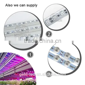 LED Strip Light Indooruse thumbnail-5