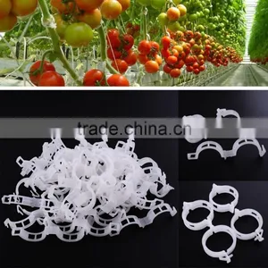 2017 Most Salable Plastic Plant Support Clip for Fruit Vegetables thumbnail-1