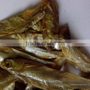 Pet Food Air Dried Fish Dry Dog Food thumbnail-1