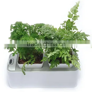 Automatic Mini Plastic Flower Planter thumbnail-4