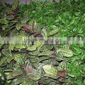 Hot Boutique Cheap Wedding Stage Backdrop Wedding Flower Wall thumbnail-3