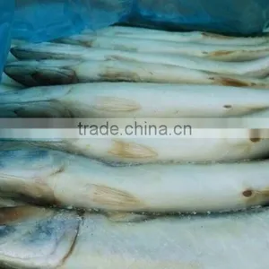 300-500g Frozen Mackerel thumbnail-2