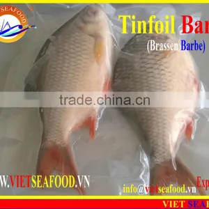 FROZEN W/R RED TAIL TINFOIL BARB thumbnail-6