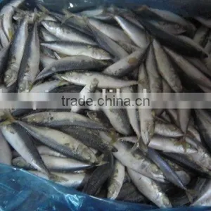 Frozen Mackerel (10-12pcs) thumbnail-1