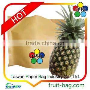 Brown Kraft Paper Bag Pineapple Protection Paper Bag Brown Pineapple Growing Paper Bag thumbnail-1