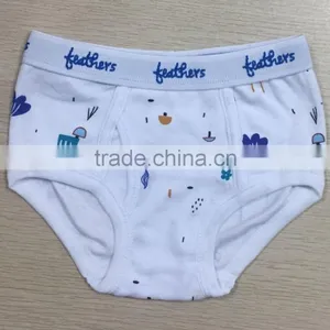 Fashion Design 100% Premium Cotton Boy Briefs thumbnail-1