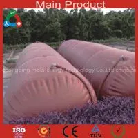 Large Size Biogas Plant for Industry or Home thumbnail-1