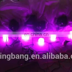 Inflatable Flowers for Event Decoration thumbnail-3