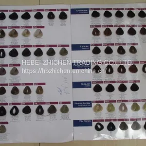 Customized Hair Color Catalogue Maker thumbnail-3