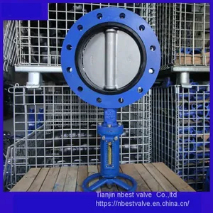LXUD341XP-10Q U Type Center Worm Gear Butterfly Valve for Sea Water thumbnail-2