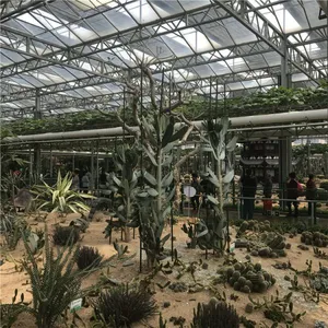 Multispan Plastic Film Greenhouse for Large-Scale Flower Production thumbnail-5