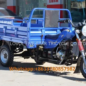 Gasoline Tricycle Cargo Loader Lovol Three Wheeler Mali Ethiopia Ghana Bukina Faso Tanzania Kenya Senegal Togo Benin Nigeira Mauritania Angola Burundi Chad Cameroon C ô te D'Ivoire Gabon Guinea Mozambique Rwanda Congo Uganda Zimbabwe thumbnail-1