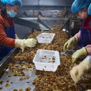 Xiuyan Funong Edible Fungi Production Professional Cooperatives company overview - view 3 thumbnail