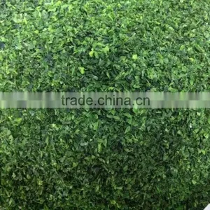 Grade A Roasted Green Aosa Seaweed Powder for Seaweed Snacks/Cookies thumbnail-2