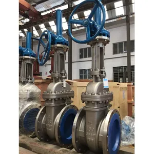 ANSI 304/316 Stainless Steel Gate Valve Manual Operated Wedge Gate Valve thumbnail-4