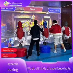 Dynamic Boxing Venting House, Casual Entertainment Game, Trendy Collectible, Party Venue, Digital Sports, Scenic Area, Shopping Mall, Dummy Equipment thumbnail-1