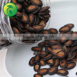 Agricultural Watermelon Seed Size 13cm thumbnail-1
