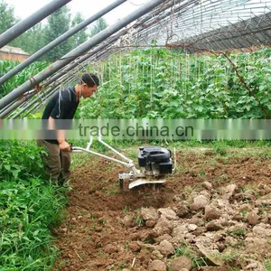 From China Gasoline Farm Machine Tilling the Soil Cultivadora Indoor Cultivator thumbnail-1