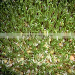 2016 Hydroponic Farm Fodder Growing System for Poultry/Livestock thumbnail-4